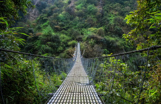 rek travel off limits adventure bridge in rainforest